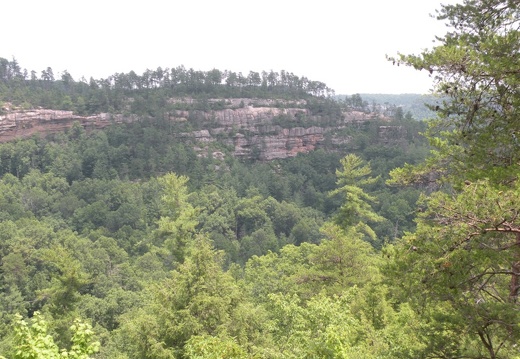 Gladie Creek, Red River Gorge